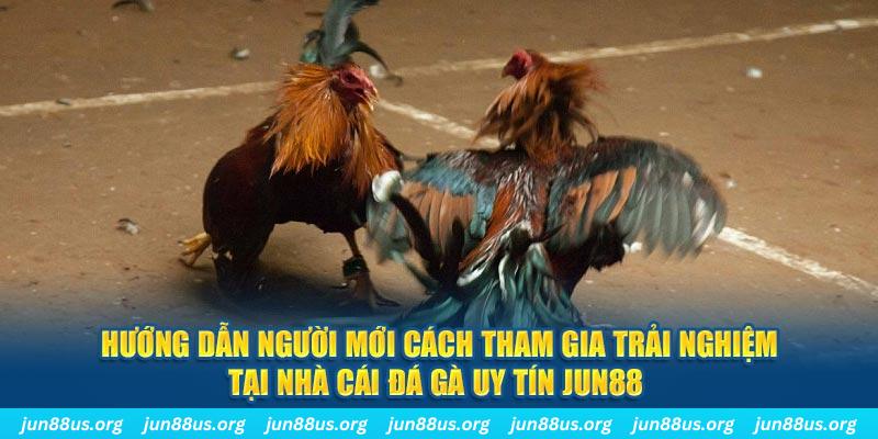 98win9 loi game dot kich ket noi may chu that bai