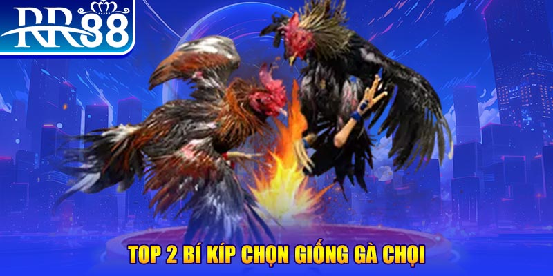 98win9 máy thu cước bắn cá