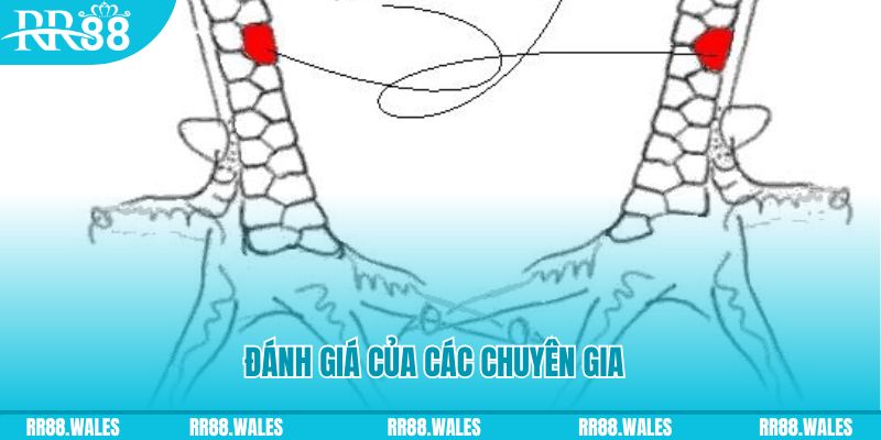 98win9 V8 Game Bài 3d