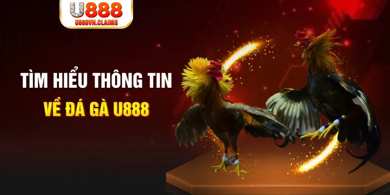 98win9 đăng nhập tiến lên miền nam hàng đầu