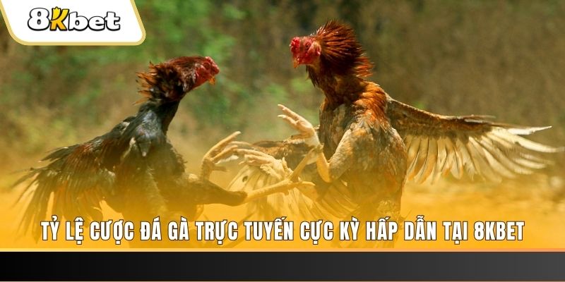 98win9 baccarat online bịp như thế nào