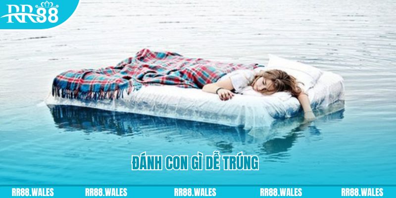 98win9 đăng nhập liêng hàng đầu